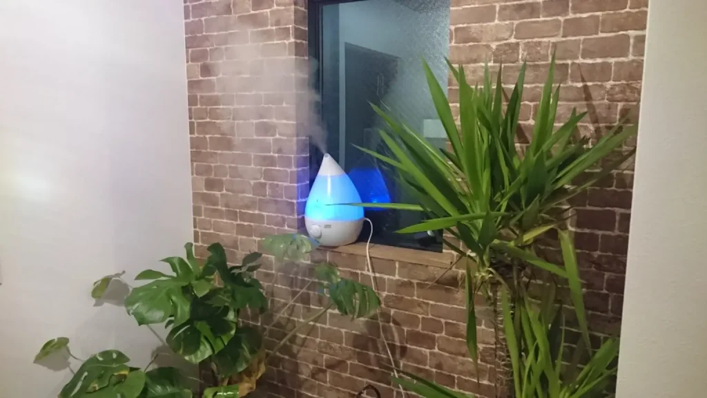 BodyMakers'（ボディメーカーズ）